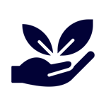 Transparent processes and ethical practices